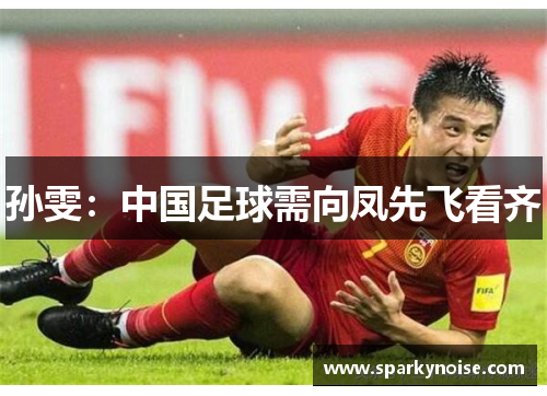 孙雯：中国足球需向凤先飞看齐